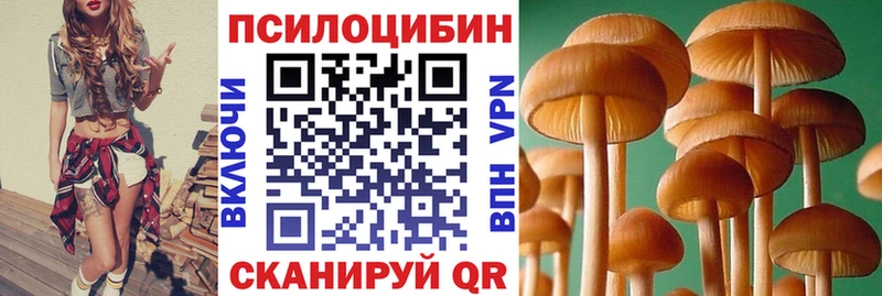 Псилоцибиновые грибы Psilocybe  Городец 