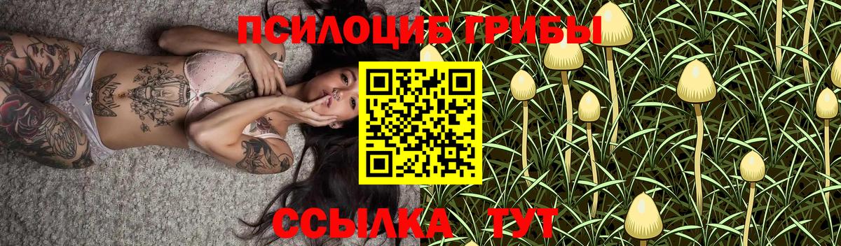 Псилоцибиновые грибы Psilocybine cubensis  Вход с VPN  Городец 