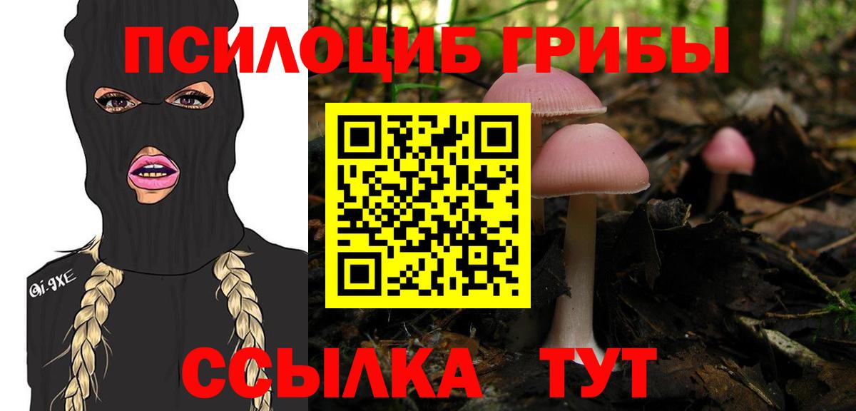 Псилоцибиновые грибы мицелий Городец