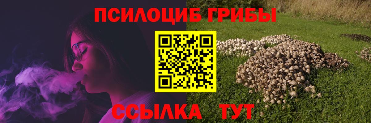 Галлюциногенные грибы GOLDEN TEACHER Городец
