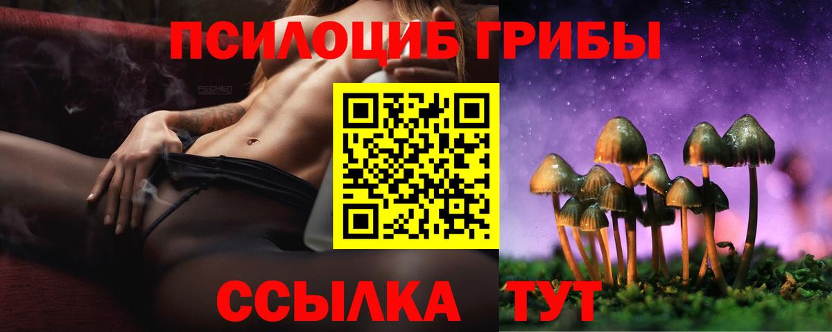Псилоцибиновые грибы Psilocybe  закладки  Галлюциногенные грибы MAGIC MUSHROOMS  Городец 